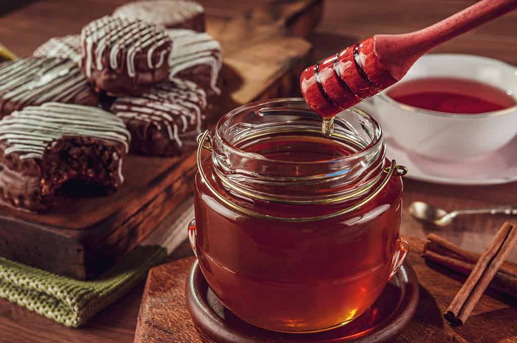 Closeup of honey bee and brazilian honey cookie chocolate covered - Pão de mel