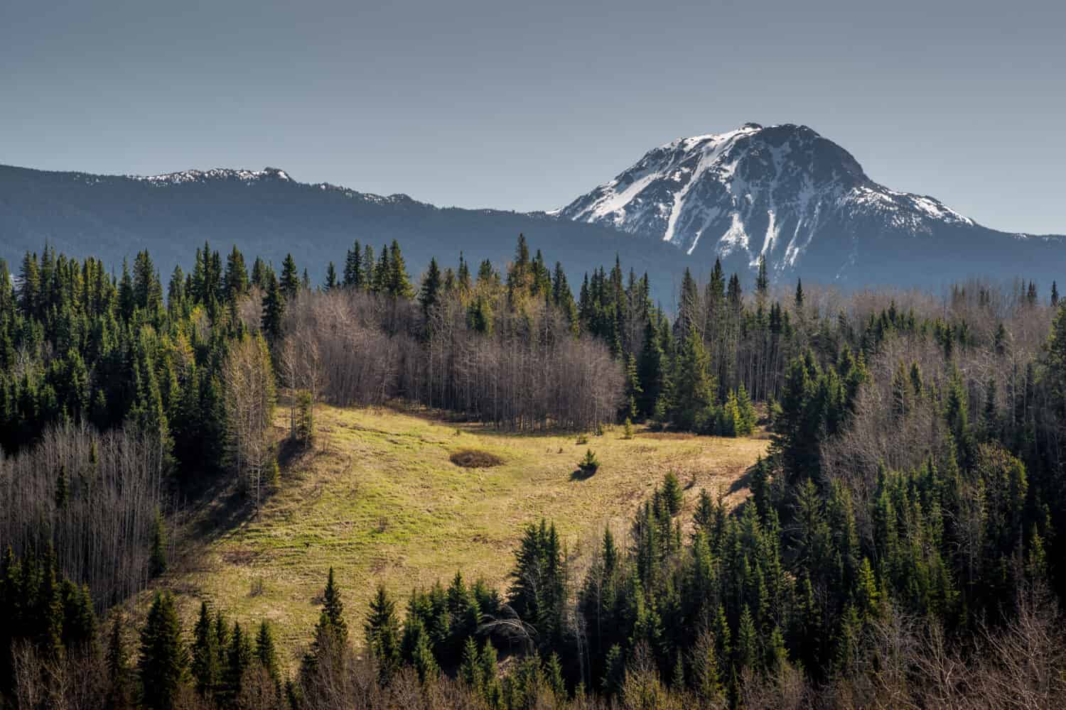 Spring in the northern mountains and boreal forest of BC Canada.