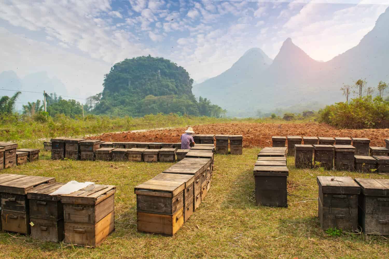 wooden hives in the outdoors guilin,guangxi, china
