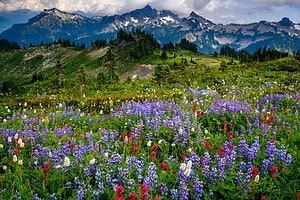 Discover the Absolute Hottest Place in Washington State Picture