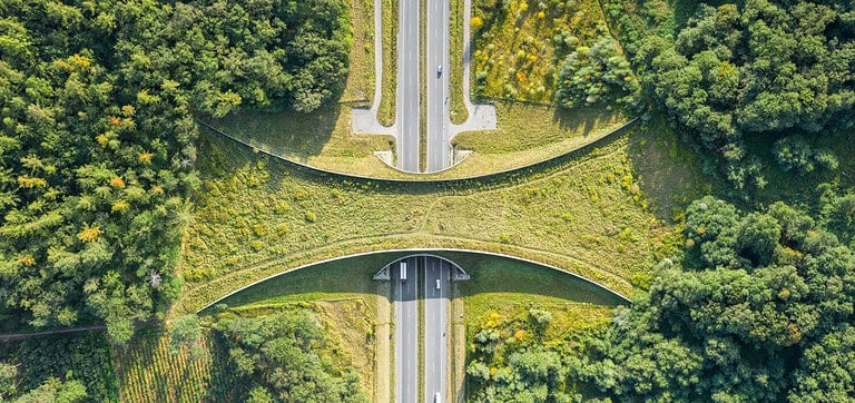 Aerial top down view of an animal bridge or wildlife crossing - vegetation covered bridge over a motorway that allows wildlife to safely cross over
