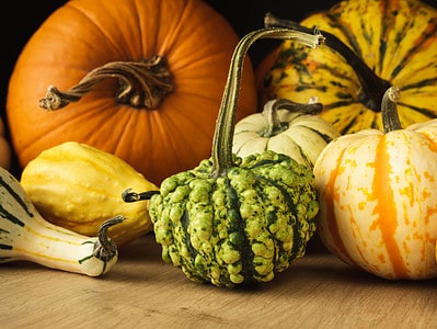 A Discover 14 Different Types of Squash: Taste Profiles and Best Uses!