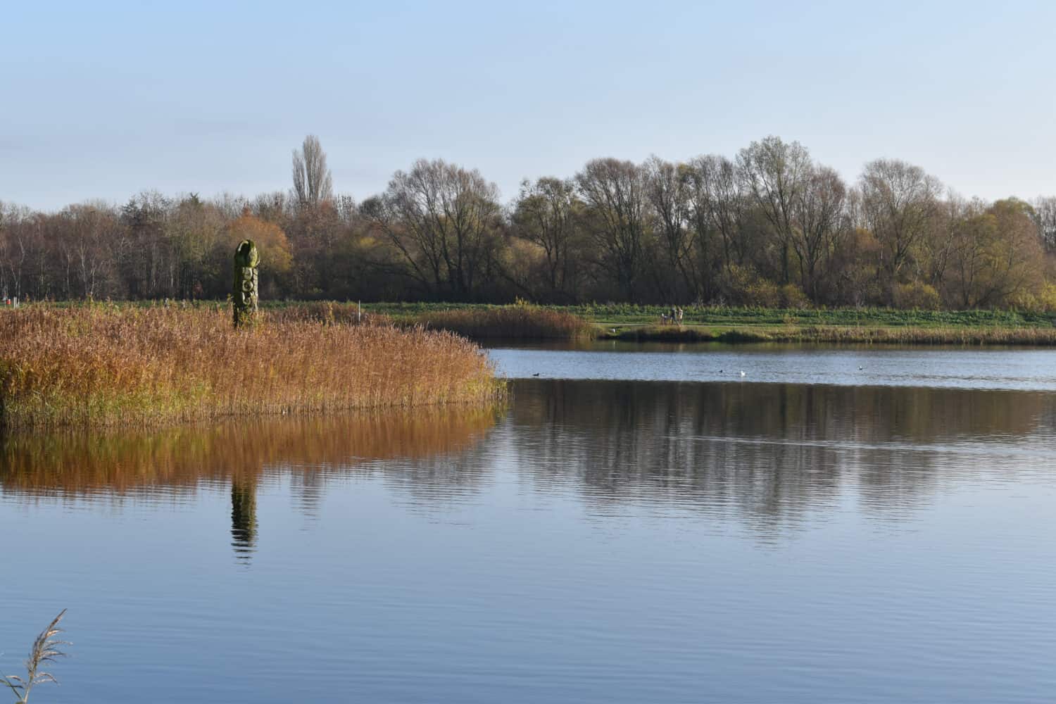 Stanwick Lakes, Northamptonshire, UK on a calm sunny autumn morning on 27-11-2020
