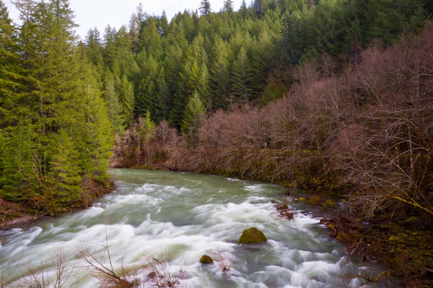 Aerial or high angle viewpoint landscape photo of the Willamette River in Oregon.