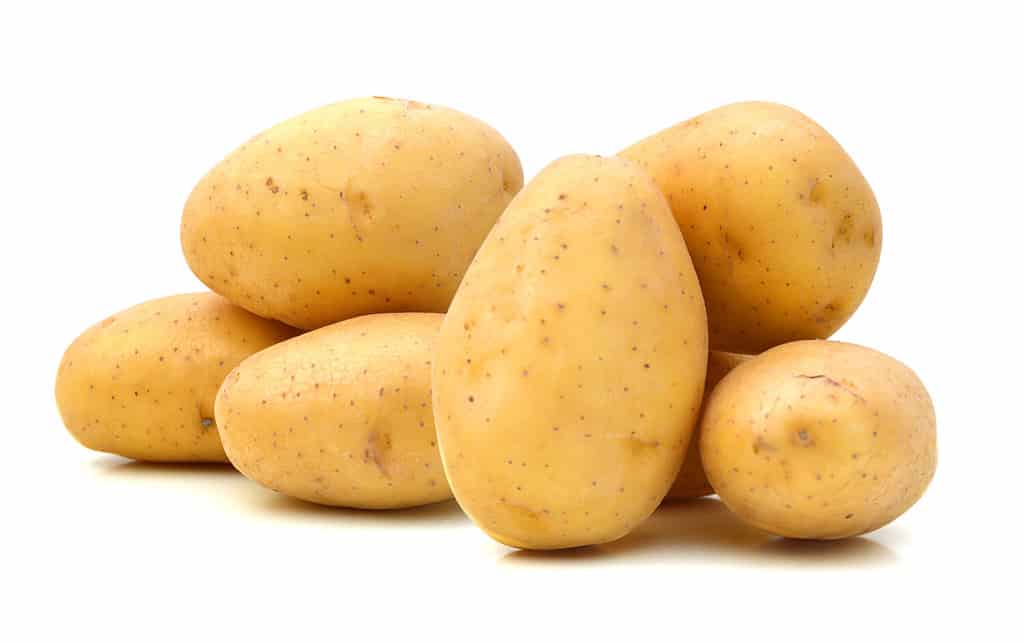 New potato isolated on white background close up