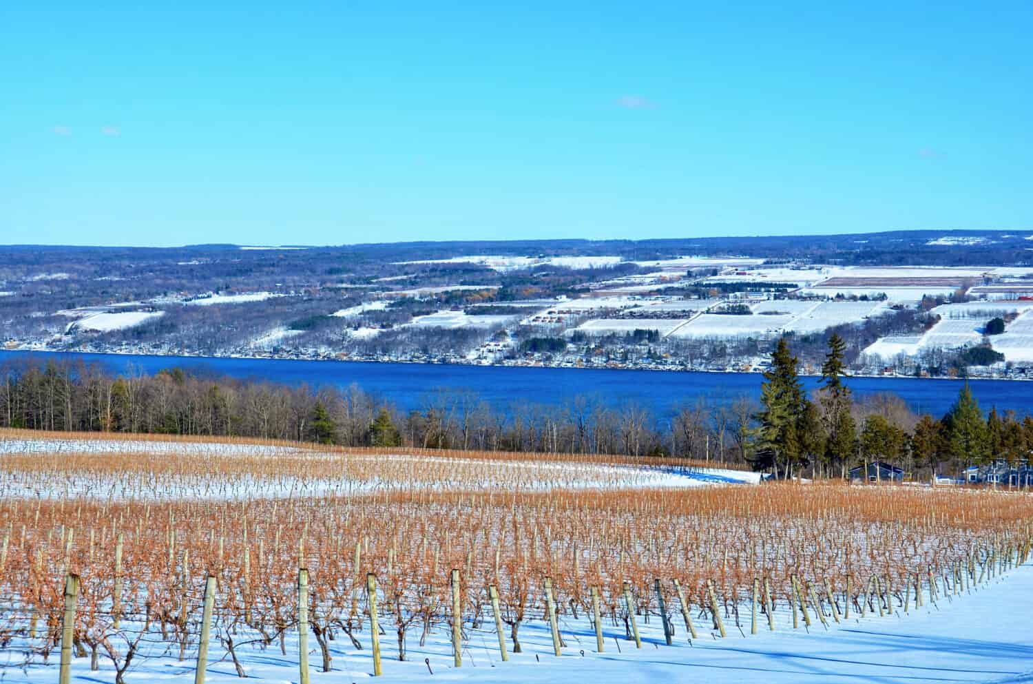 Winter Landscape with grape vineyard, hills and Seneca Lake, in the heart of Finger Lakes Wine Country, New York. Seneca Lake is the deepest lake entirely within the state. 