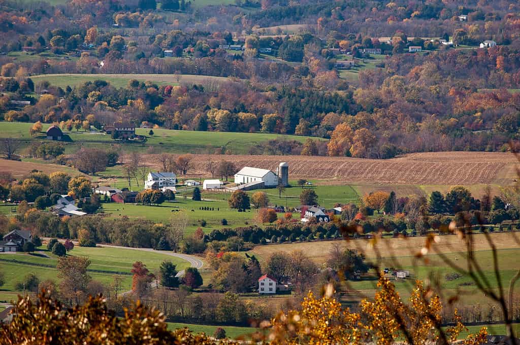 Fall colors in rural Frederick, Maryland