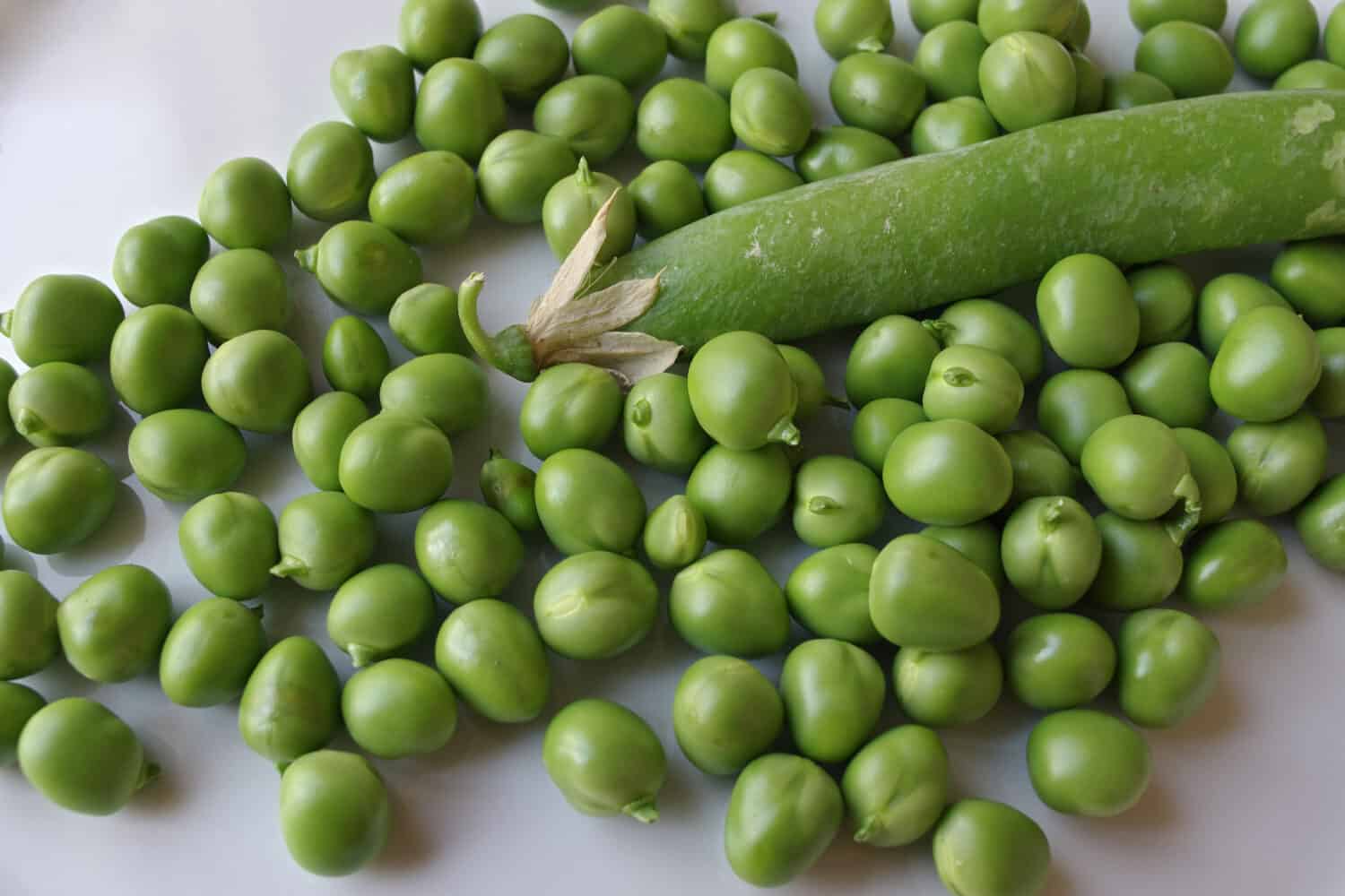 Fresh English peas. Photo taken at a farmers market in Southern California. 