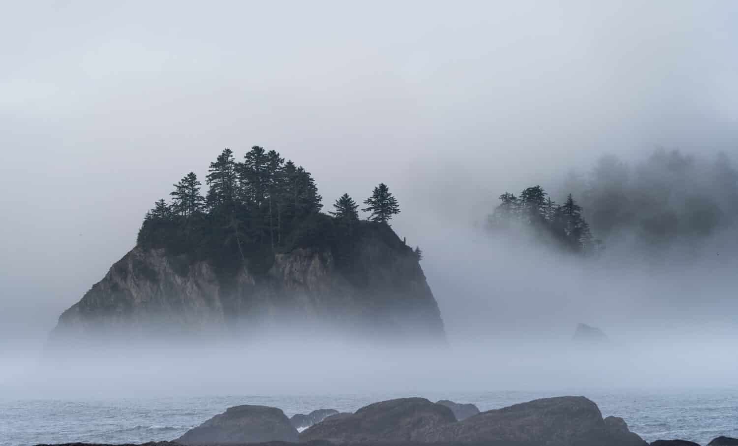Morning fog envelopes a rocky island at Rialto Beach Washington. 