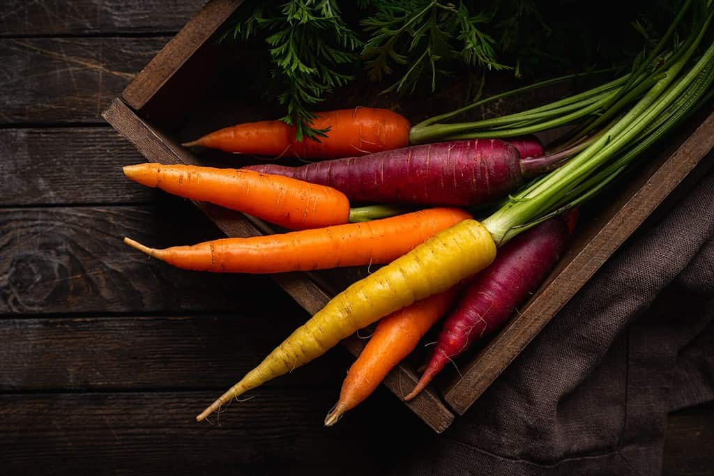 Colorful Rainbow carrot with their green leaves in a box on wooden background, top view