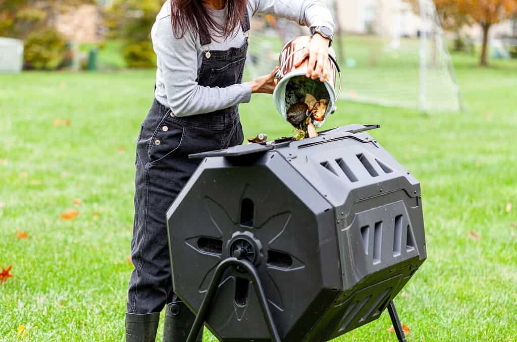 A woman is dumping a small bin of kitchen scraps into an outdoor tumbling composter in backyard garden. These plastic units with metal legs can turn around for better aeration and quick composting.