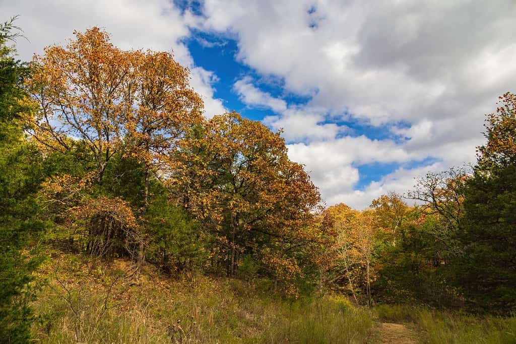 Fall color of the Osage Hills State Park at Oklahoma