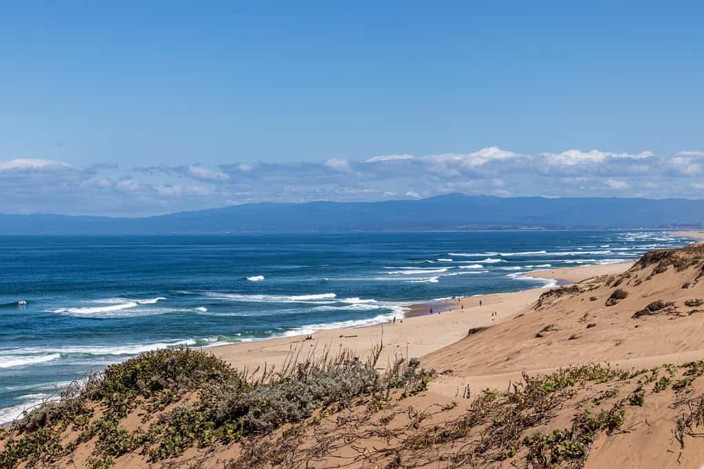 View of Monterey Bay from above the Dunes