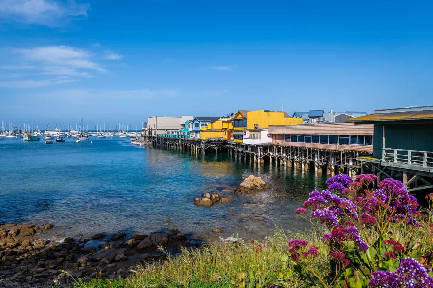 How Deep Is Monterey Bay A Z Animals
