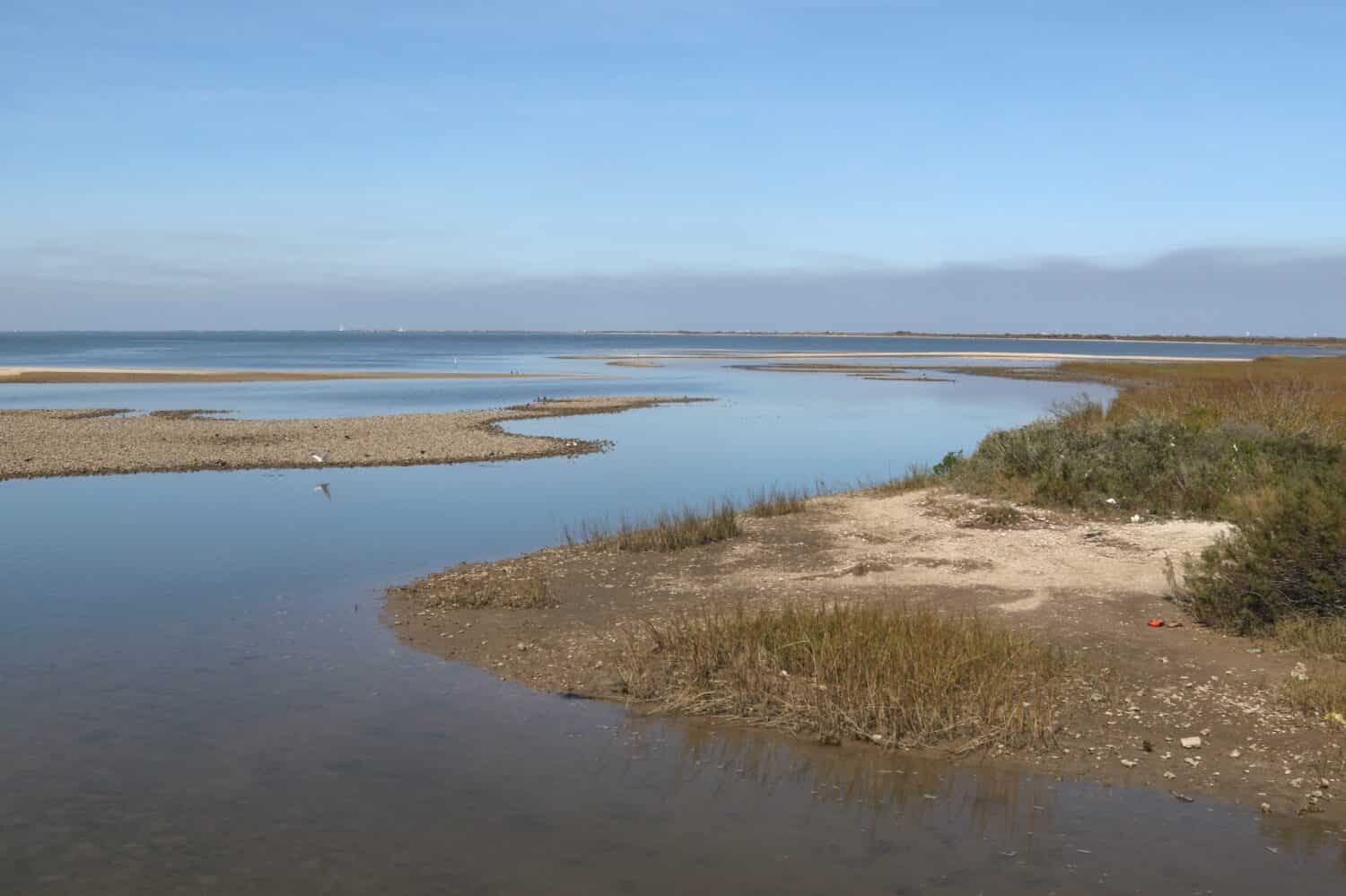 Matagorda Bay, Oyster Lake, Texas