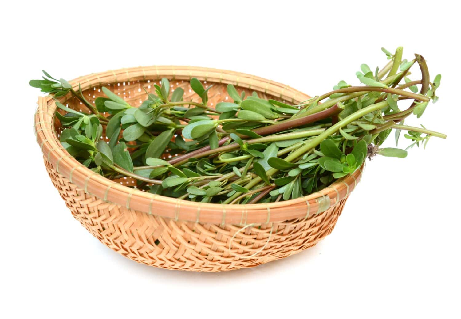 Purslane verdolaga vegetable on basket
