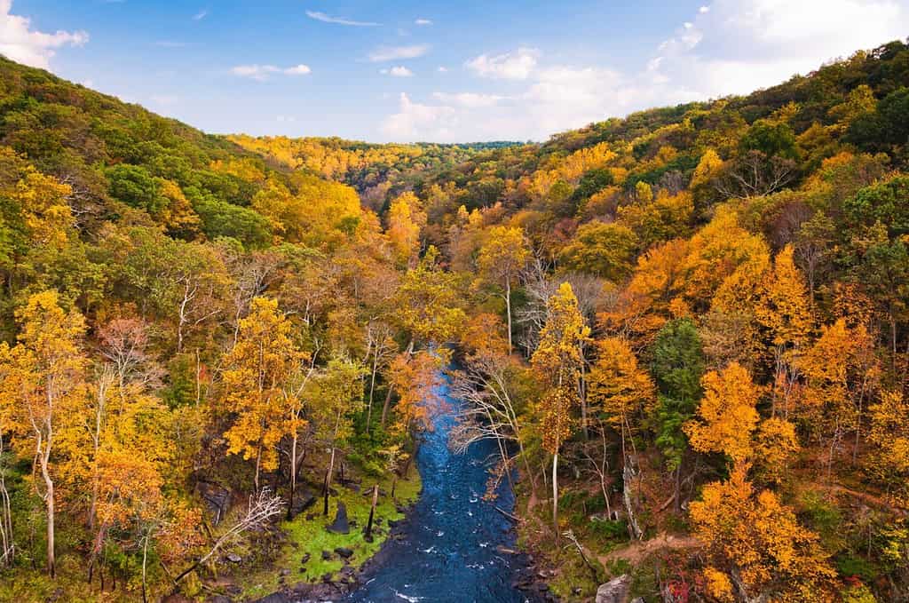 Beautiful Autumn Colors at Prettyboy Reservior, Maryland, USA, Maryland