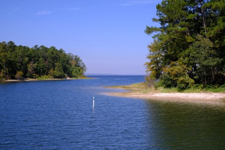 View of the Toledo Bend Reservoir from South Toledo Bend State Park in Anacoco, LA