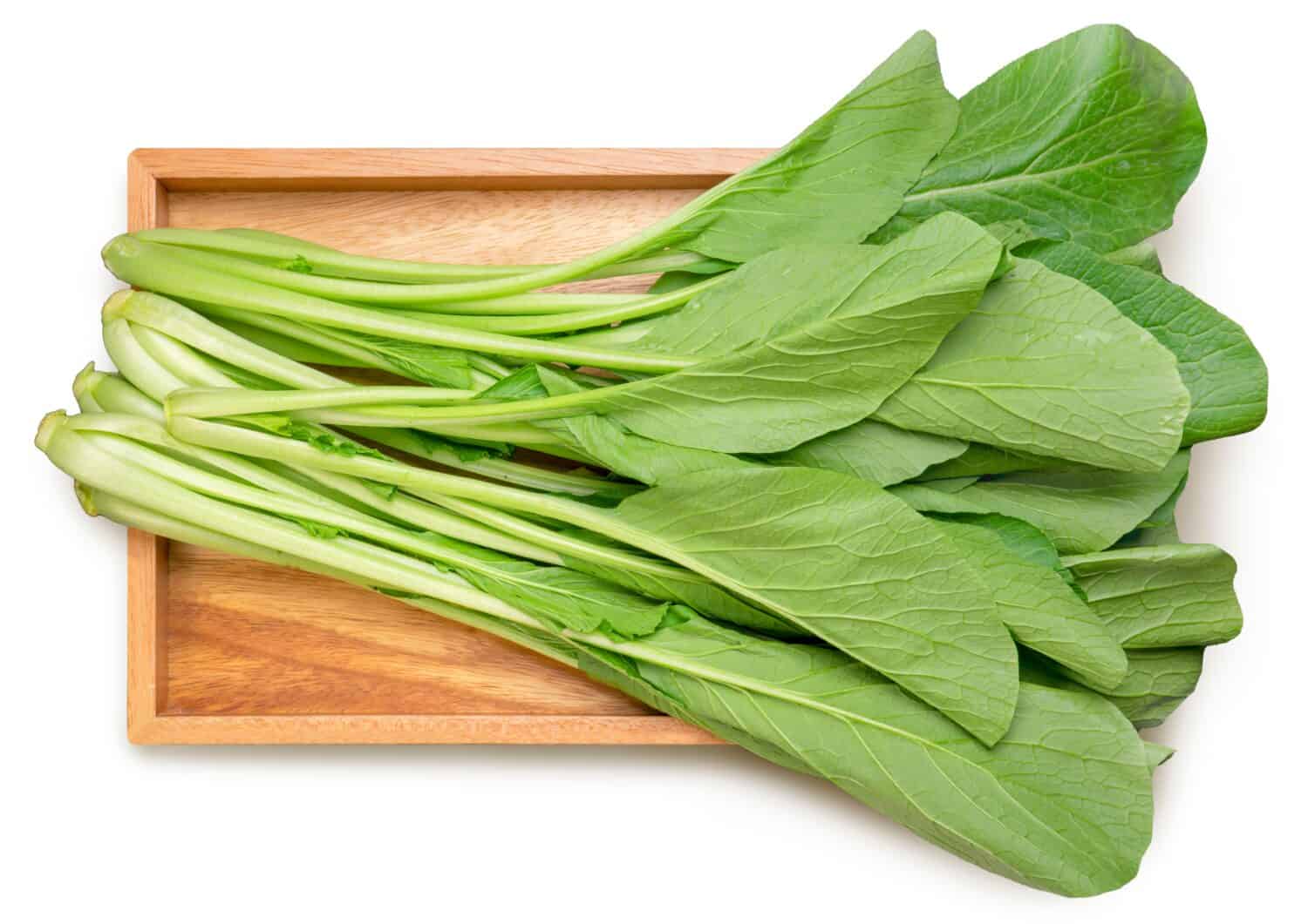 Mustard Greens vegetable in wooden plate isolated on white background, Mustard Greens or Bog Choy on white With clipping path. 