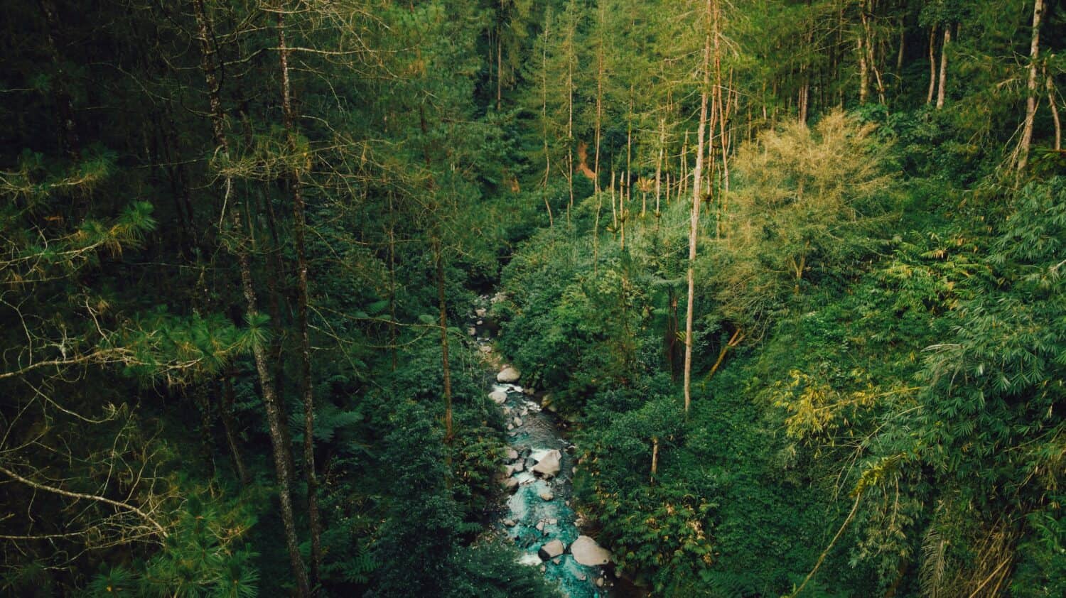 Beautiful natural scenery of river in southeast Asia tropical green forest, aerial view drone shoot. Tropical jungle with river. Tropical rain forest in Indonesia. Tropical jungles of Southeast Asia