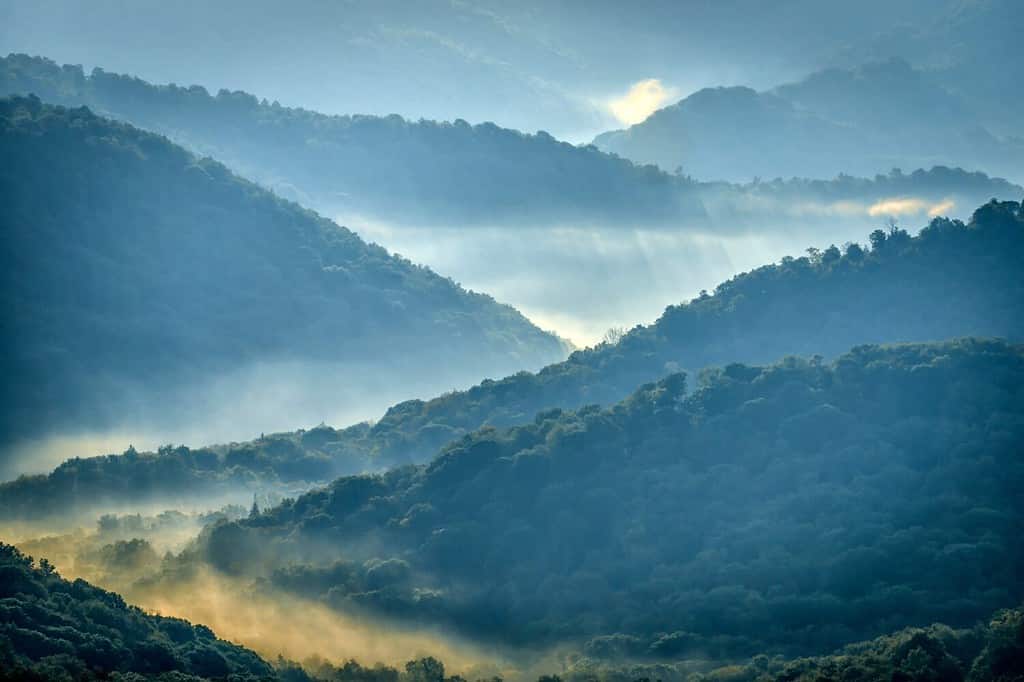 Early morning along the Highland Scenic Highway, a National Scenic Byway, Pocahontas County, West Virginia, USA