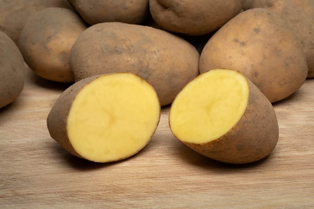 Dutch variety potato called Bintje whole and halved on wooden background close up