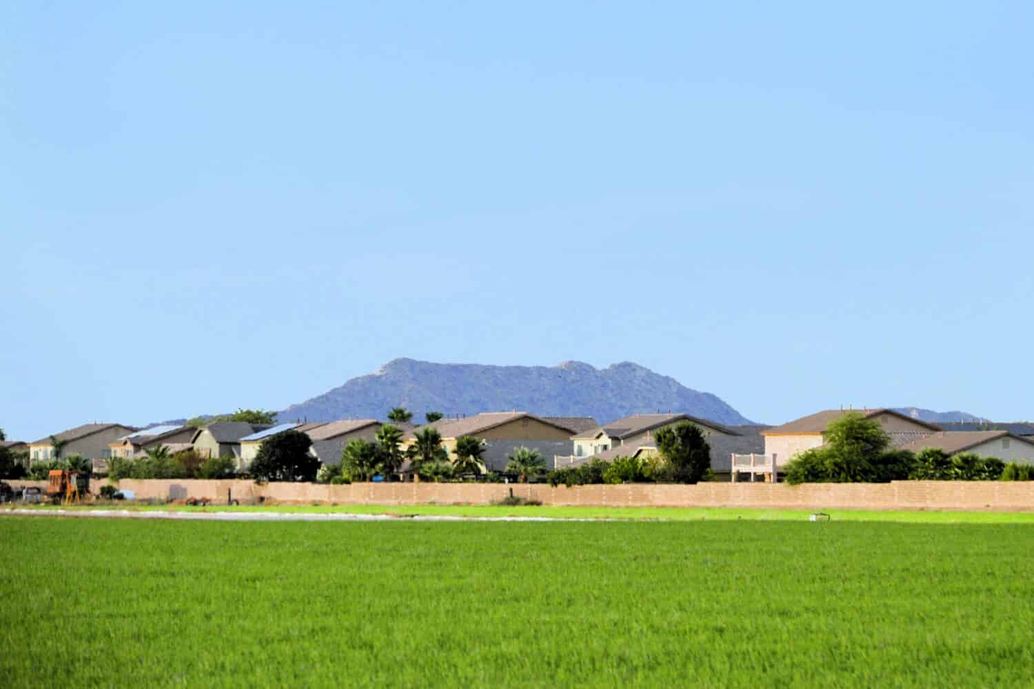 agricultural farm field next to home community with mountain in background, Maricopa Arizona
