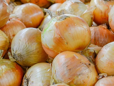 A 6 Clear Signals Your Onions Are Ready to Be Harvested (Plus Tips on Storing Them) 