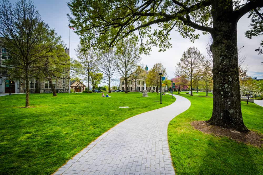 Trees and walkway at Loyola University Maryland, in Baltimore, Maryland.