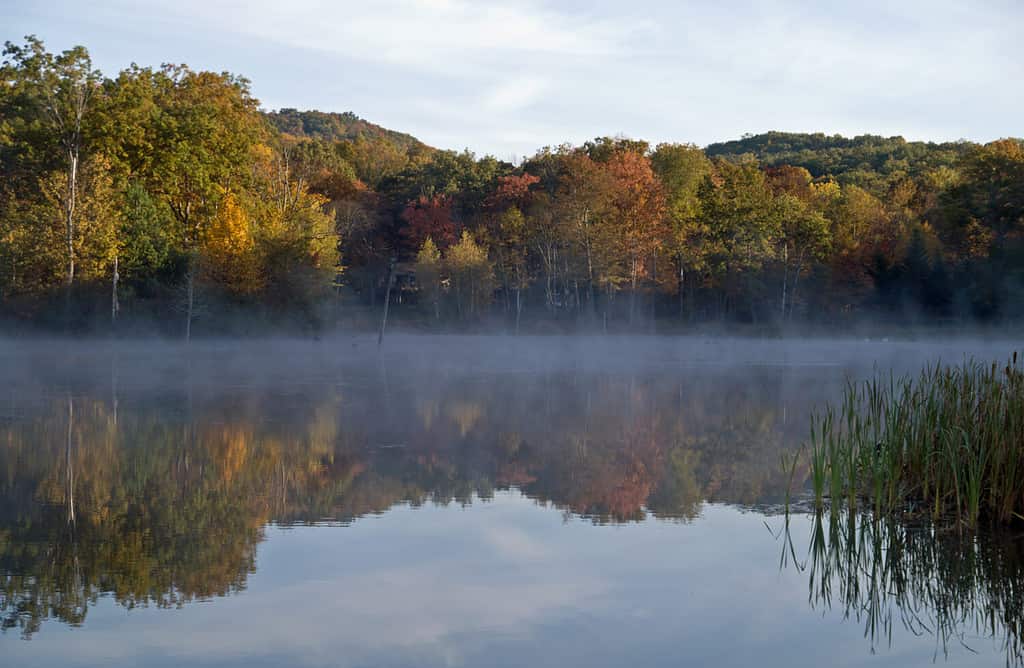 Fall reflections at Monksville Reservoir, Hewitt, New Jersey, USA