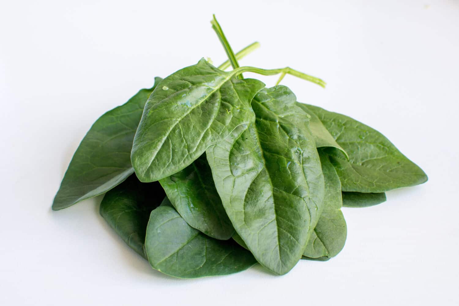 A small pile of english spinach isolated on white background
