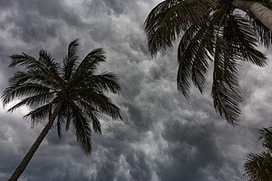 Rainy Season in Florida: Peak Timing and Why It Rains So Much Picture