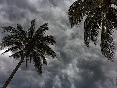 A Rainy Season in Florida: Peak Timing and Why It Rains So Much