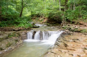 6 Natural Springs in Kentucky and Where to Find Them Picture