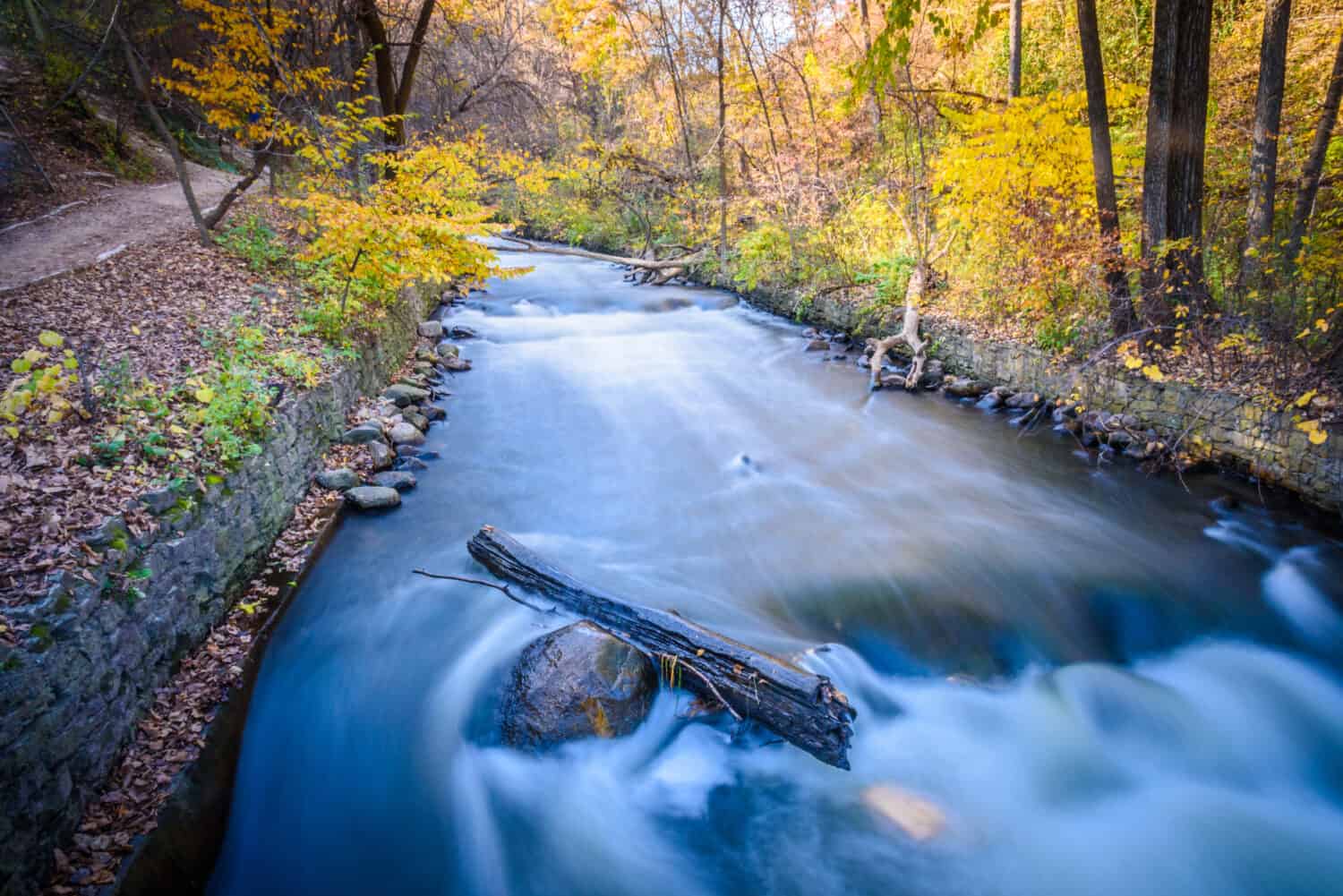 This is the Minnehaha Creek lined with trees and leaves during autumn.