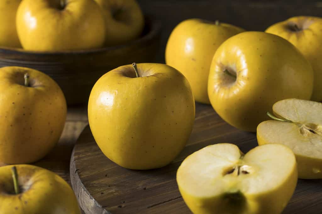 Raw Yellow Organic Opal Apples Ready to Eat