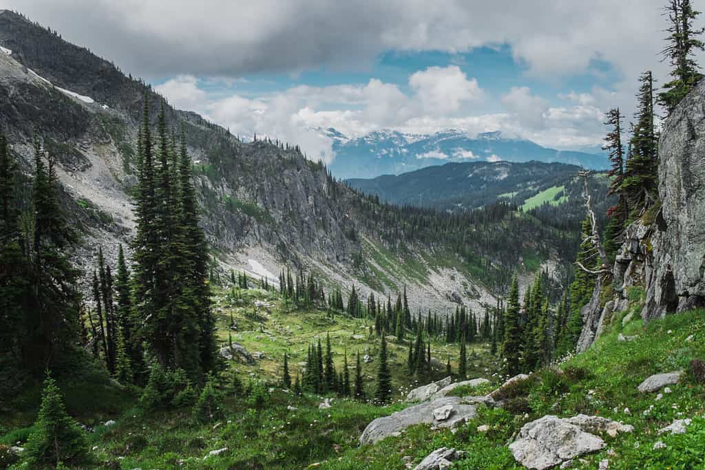 National Park Revelstoke in Canada with boreal forest and rocky mountains and glacier behind during summer afternoon with clouds and sky