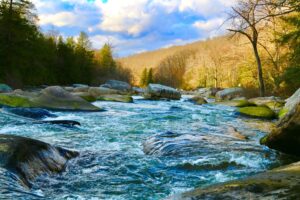 Discover the 5 Best Rivers for Whitewater Rafting in Maryland Picture