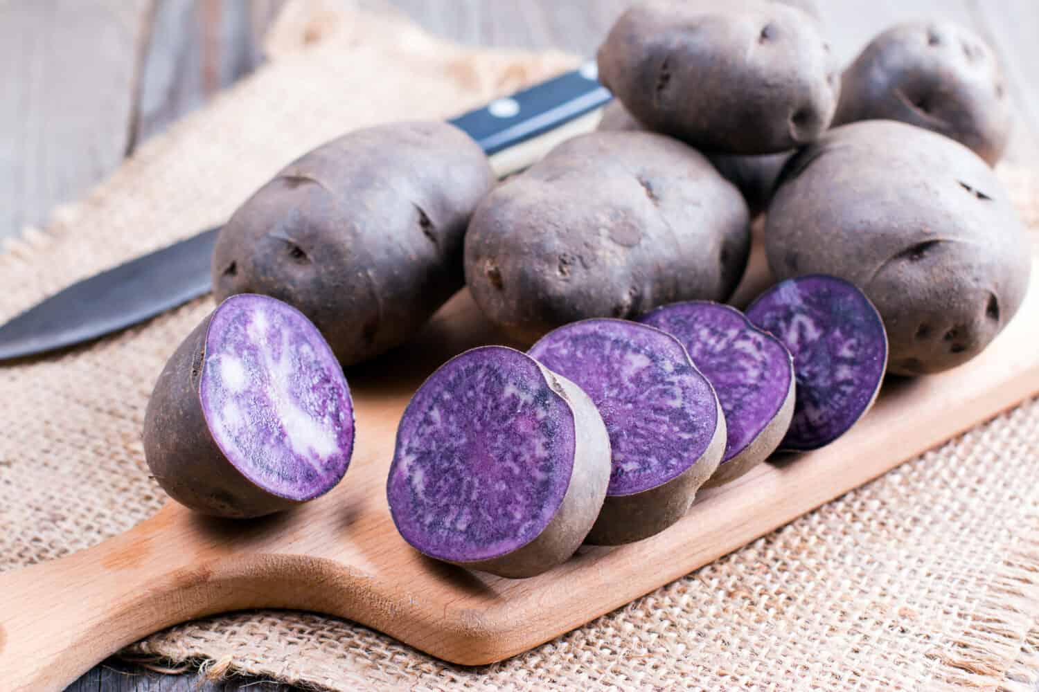 Vitelotte, raw potato