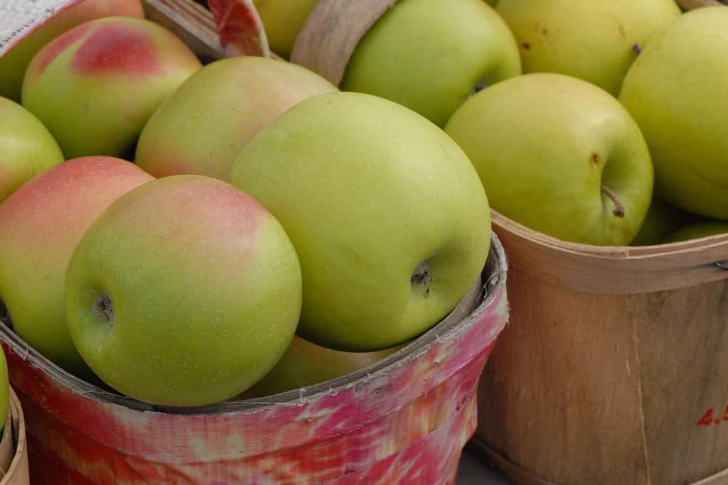 Ontario Fancy Grade Semi-Sweet Mutsu Apples in Baskets at Farmers' Market