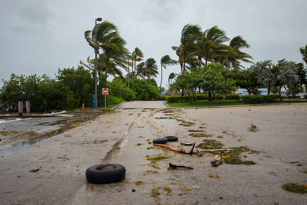 City of Miami Beach, hurricane Irma. Florida. USA.