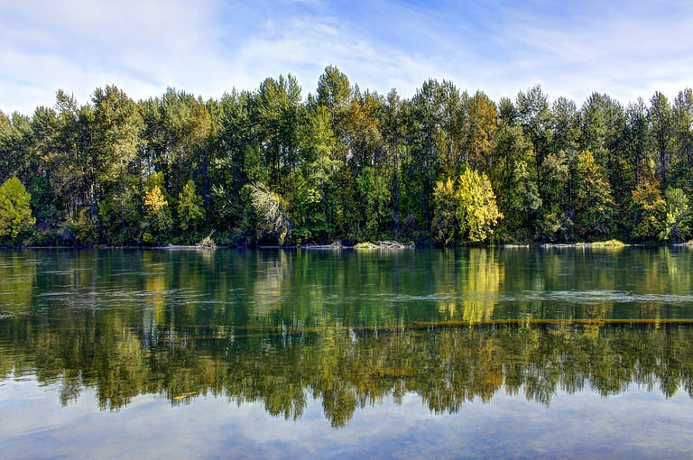 Calm late summer morning on the Willamette River, Oregon.