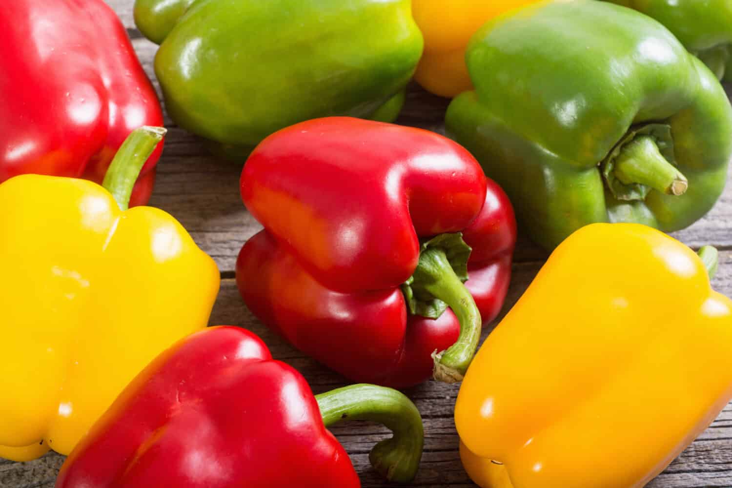 Colorful green , red and yellow peppers paprika background