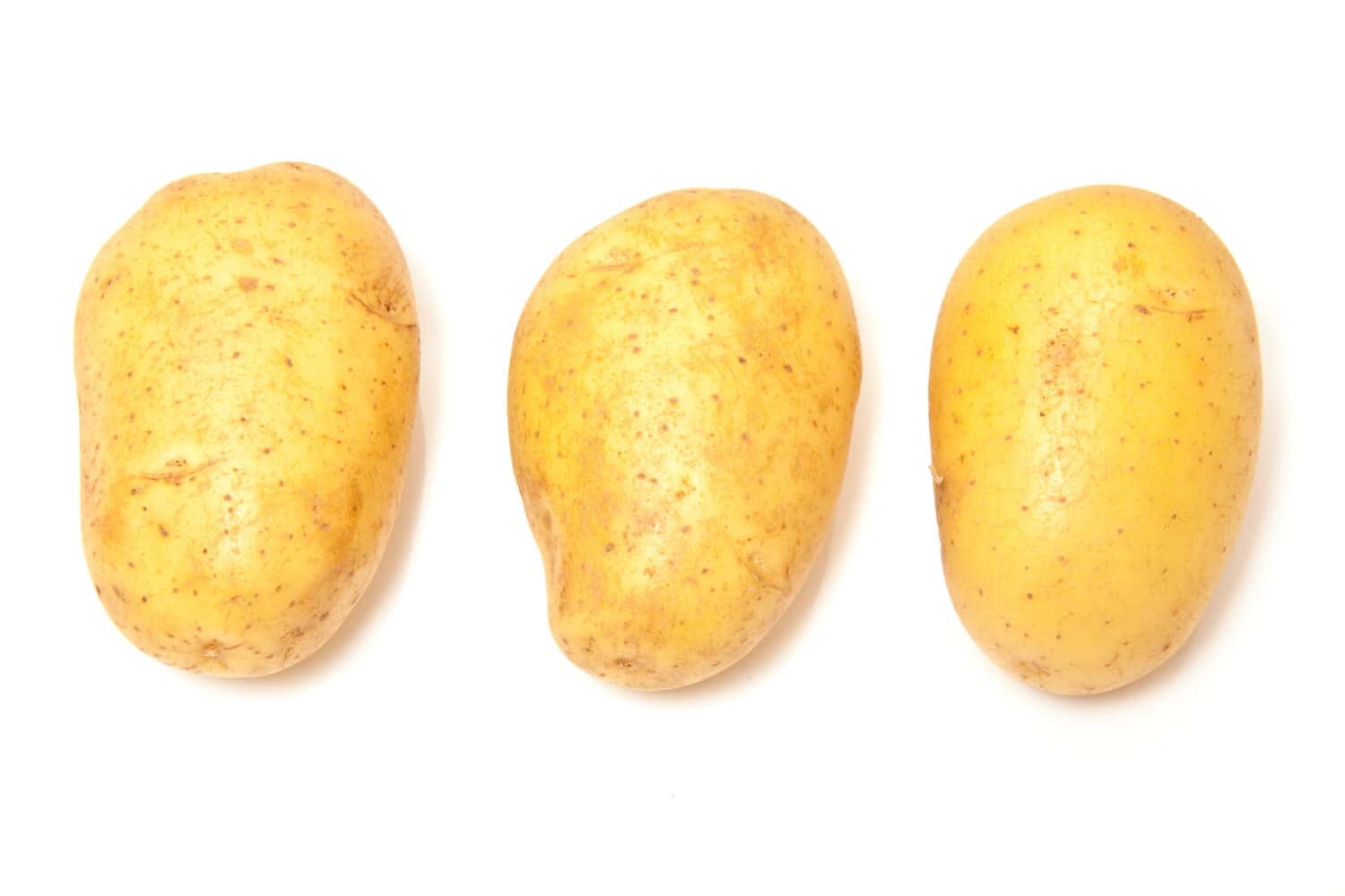 Vivaldi baking potatoes isolated on a white studio background.