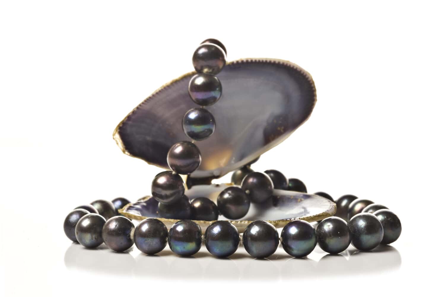 String of black pearls in a sea shell on white