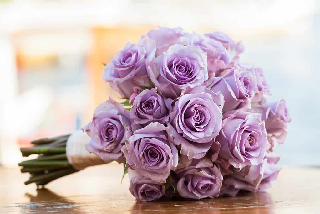lavender rose bouquet on table