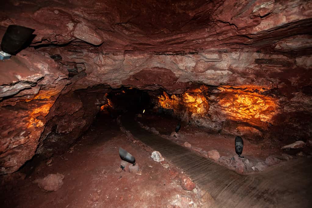 Wind Cave National Park, South Dakota - USA