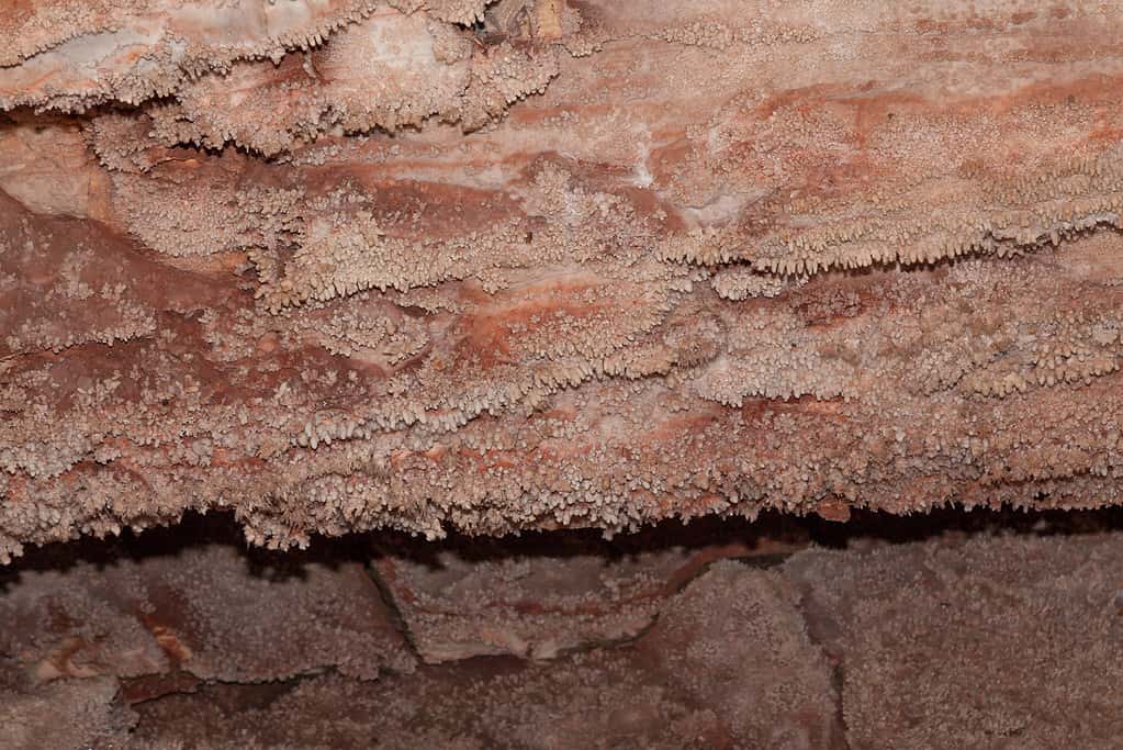 A detailed section of frostwork and popcorn style cave features at Wind Cave National Park, South Dakota.