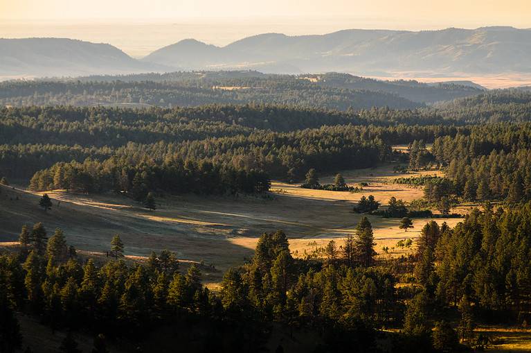 Wind Cave National Park, South Dakota