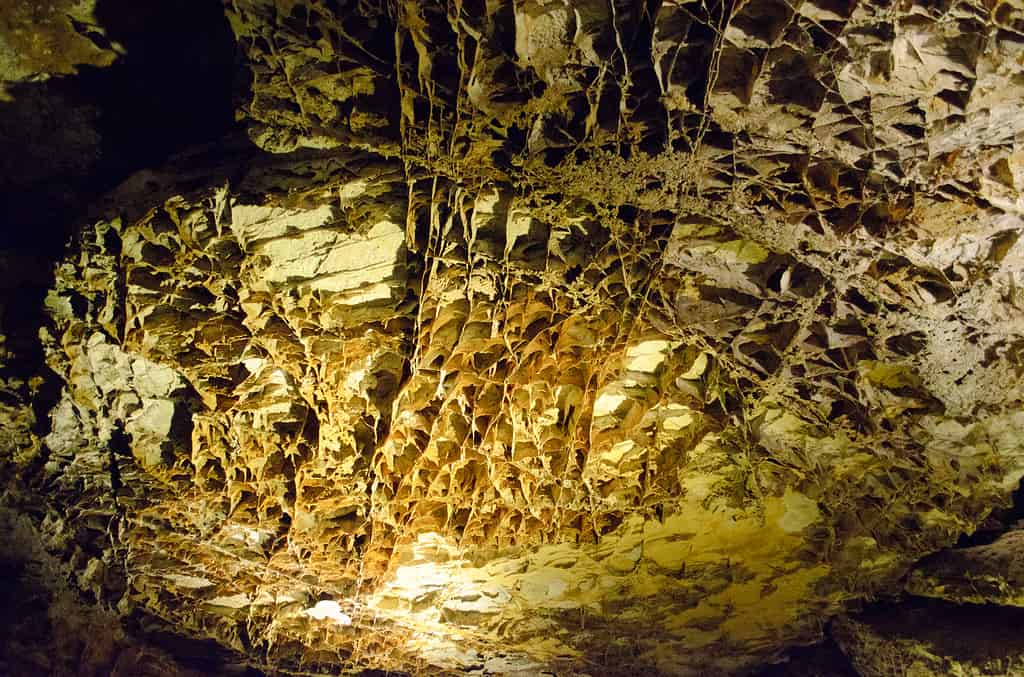 Wind Cave National Park boxwork formation on rock